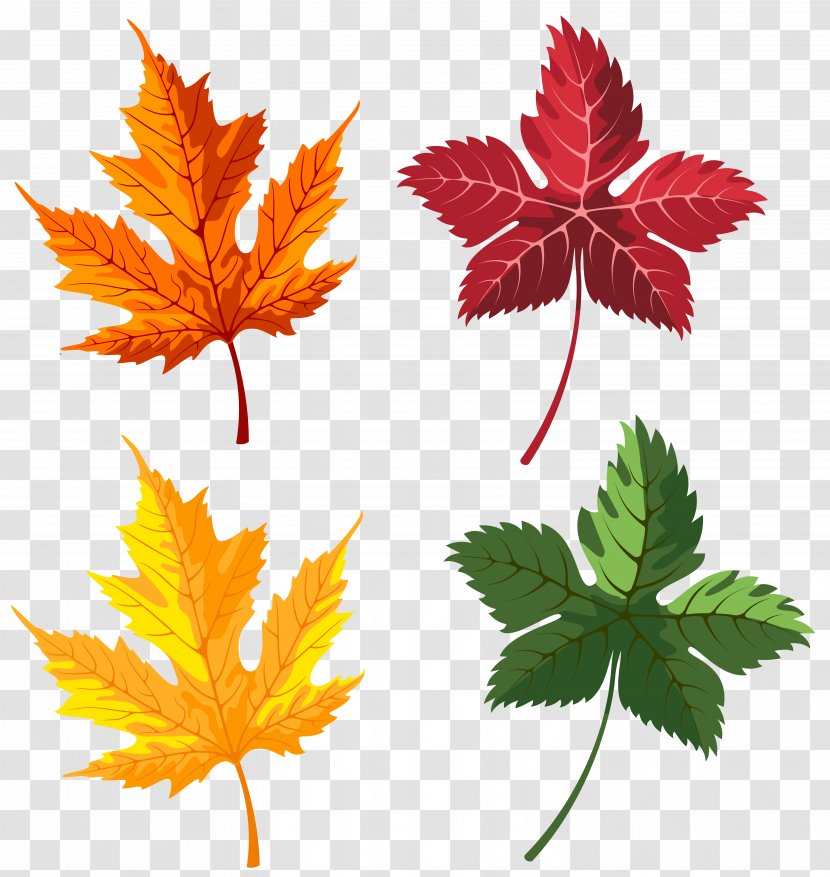 Paper Leaf Autumn - Maple - Leaves Transparent PNG