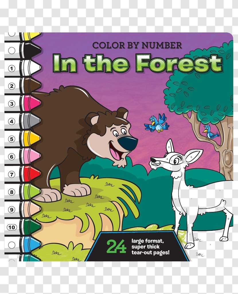 Coloring Book Paint By Number Activity - Jungle Forest Transparent PNG