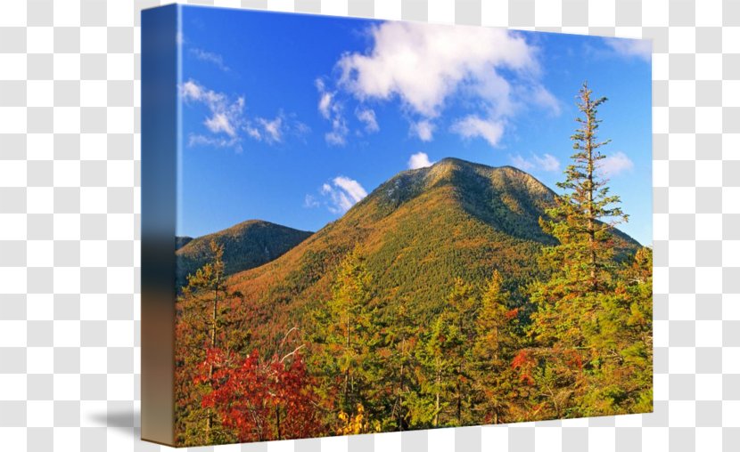 Mount Scenery Biome Nature Wilderness Vegetation - National Park - New Father Day Transparent PNG