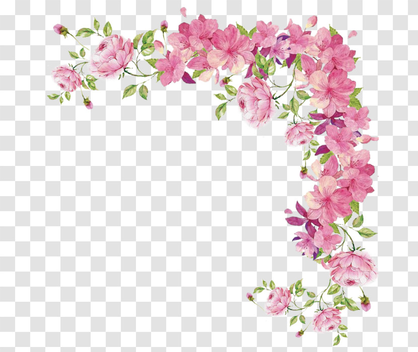 Pink Flower Plant Cut Flowers Lilac Transparent PNG