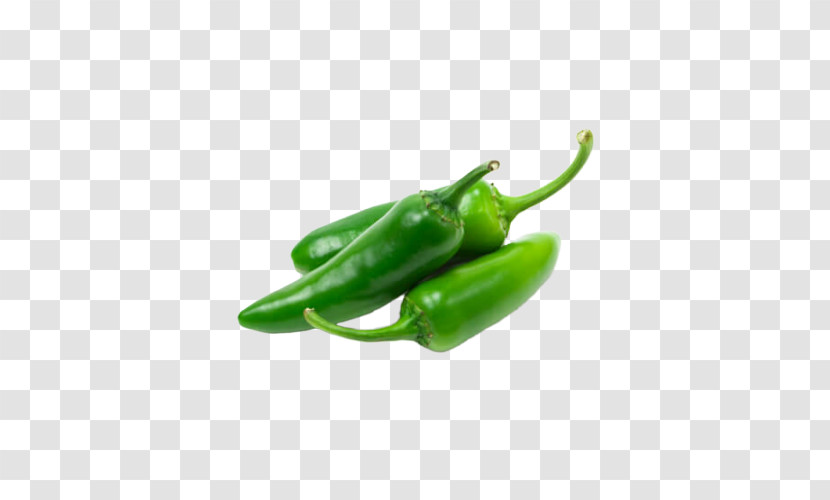 Chili Con Carne Jalapeño Bell Pepper Peppers Cayenne Pepper Transparent PNG