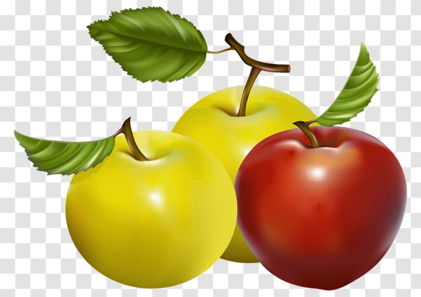 Vector Graphics Apple Fruit Royalty-free Food - Drawing - Nisan 2016 Transparent PNG