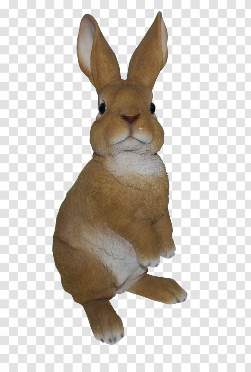Dutch Rabbit Ornament Leporids Animal - Hare - Vivid Transparent PNG