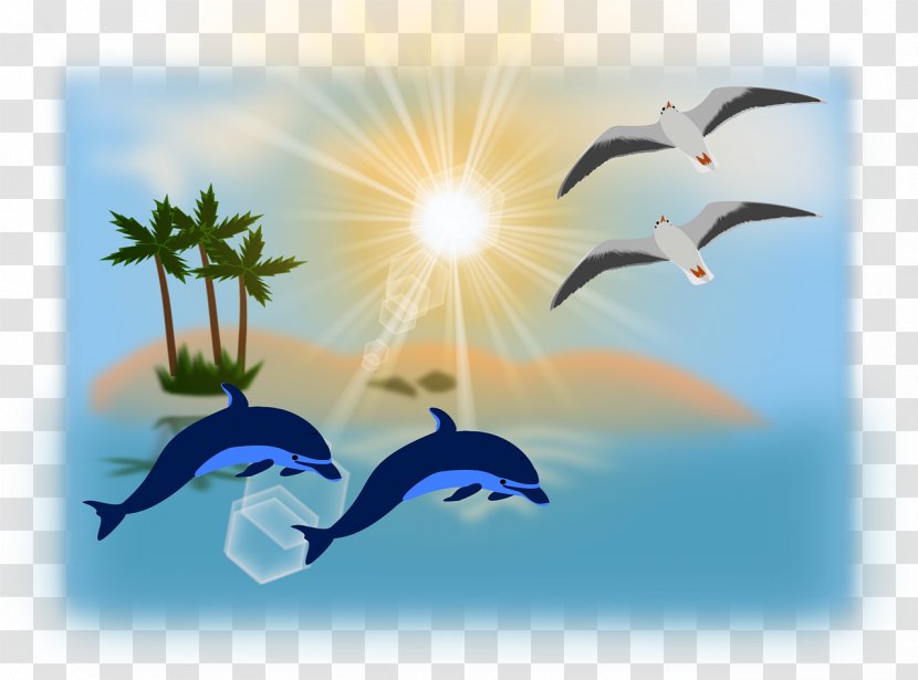 Ocean Desktop Wallpaper Clip Art - Animation - Gull Transparent PNG