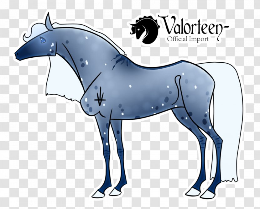 Mule Foal Stallion Mustang Colt - Tail Transparent PNG