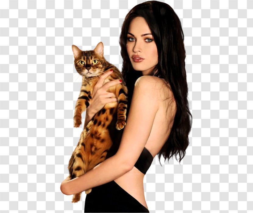 Megan Fox Transformers Mikaela Banes Cat Photography - Whiskers Transparent PNG