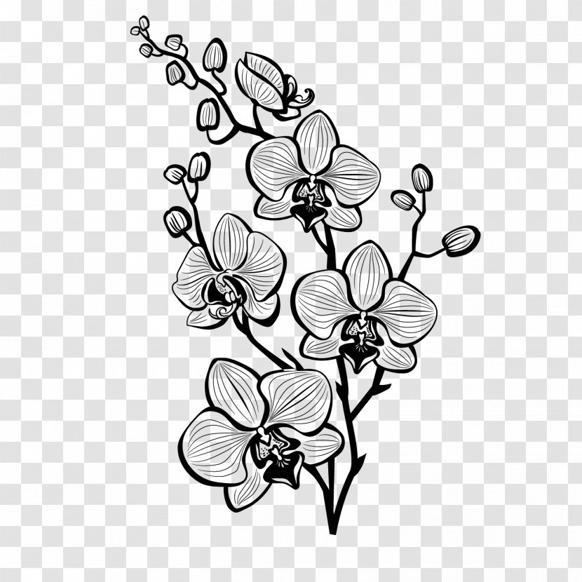 /m/02csf Clip Art Floral Design Cut Flowers Drawing - Wildflower Transparent PNG