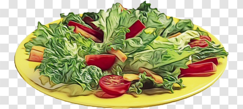 Salad Transparent PNG