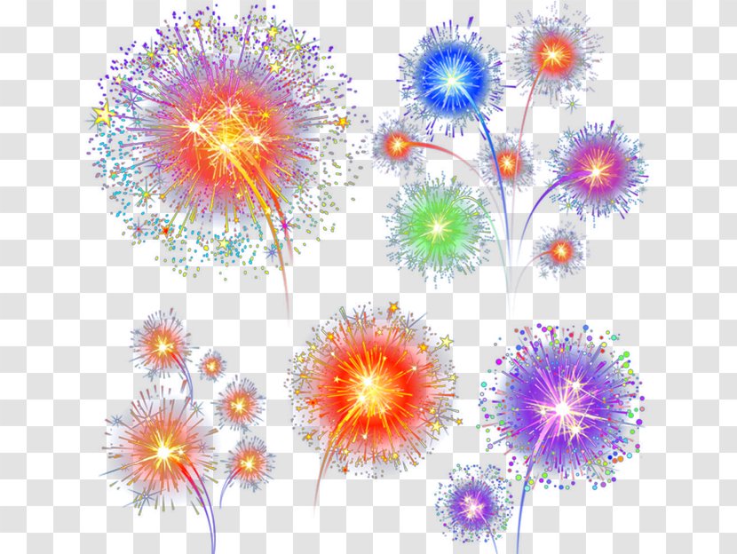 Chrysanthemum Floral Design Wallpaper - Purple - Fireworks Transparent PNG