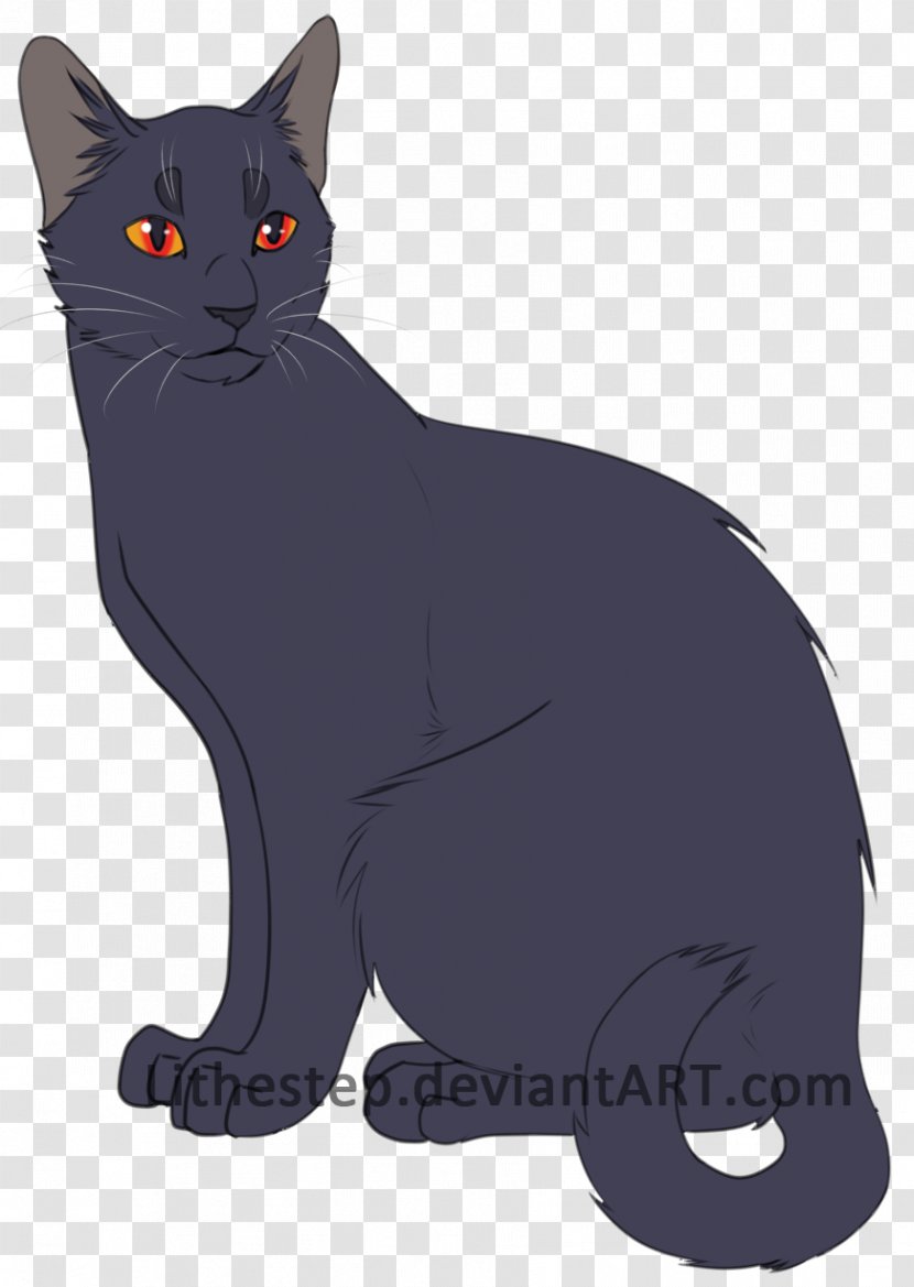 Chartreux Korat Bombay Cat American Wirehair Manx - Asian - Kitten Transparent PNG