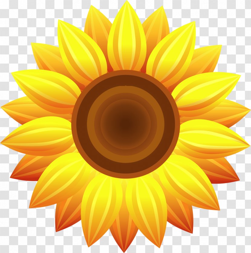 Common Sunflower Painting - Drawing - Flower Transparent PNG