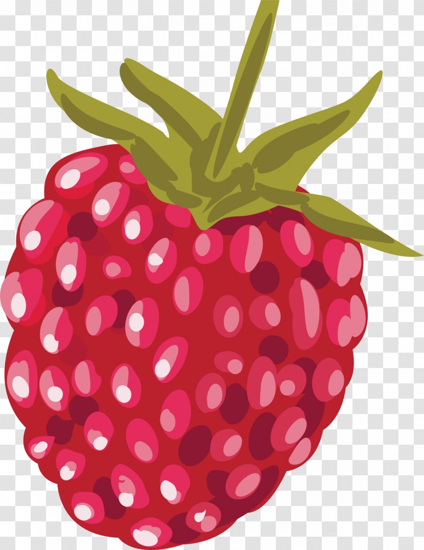 Strawberry Red Raspberry Euclidean Vector - Food Transparent PNG