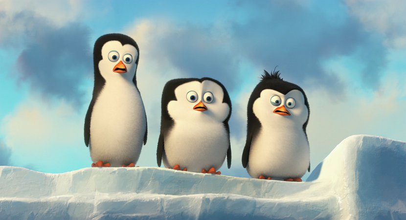 Kowalski Skipper Penguin Madagascar - Film - Penguins Transparent PNG
