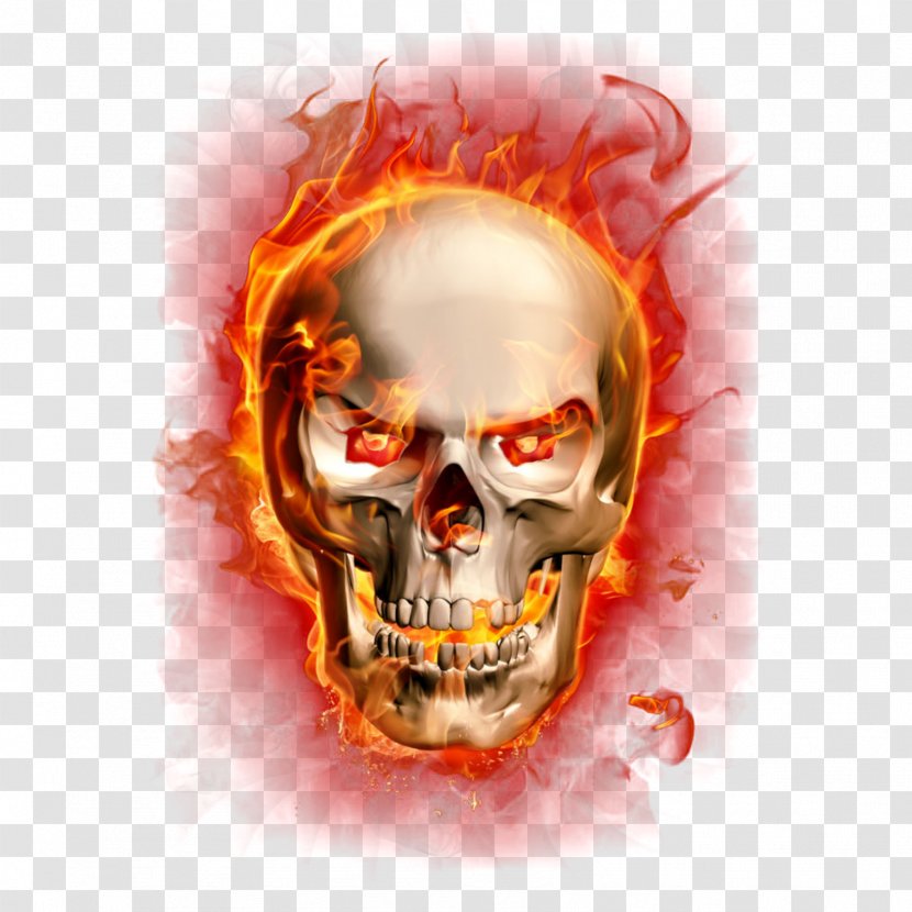 Clip Art Flame Fire Skull Illustration - Skeleton Transparent PNG