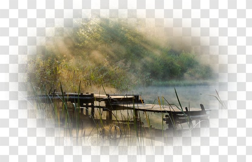 Impermanence Dream Karma In Buddhism Water Resources Egg - Waterway - Fog Transparent PNG