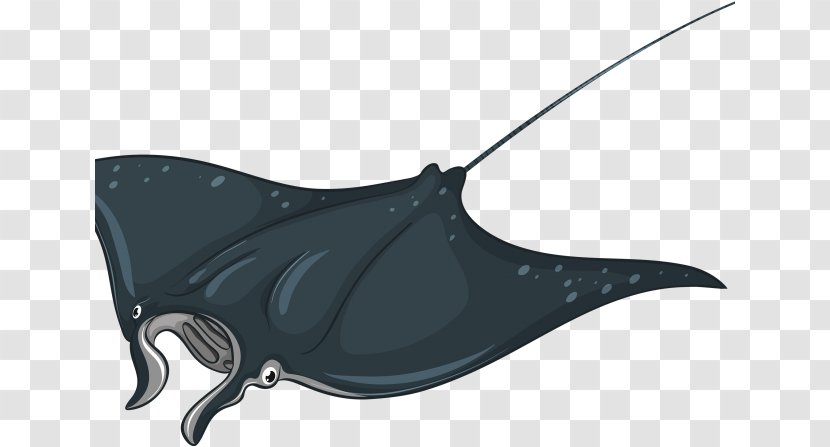 Bat Cartoon - Giant Oceanic Manta Ray - Rays And Skates Transparent PNG