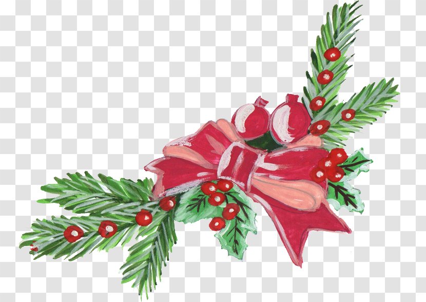 Christmas Ornament Decoration Santa Claus Clip Art - Flowering Plant Transparent PNG