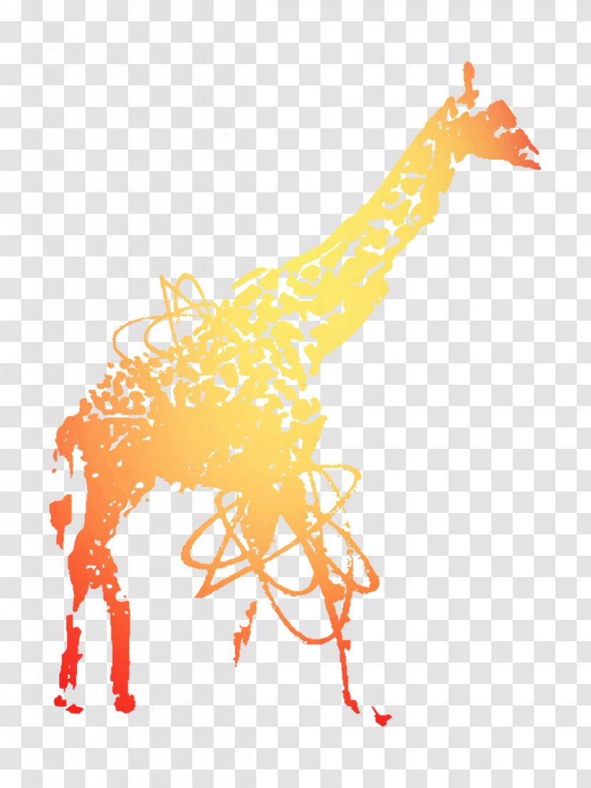 Giraffe Illustration Graphic Design Character - Orange Sa - Giraffidae Transparent PNG