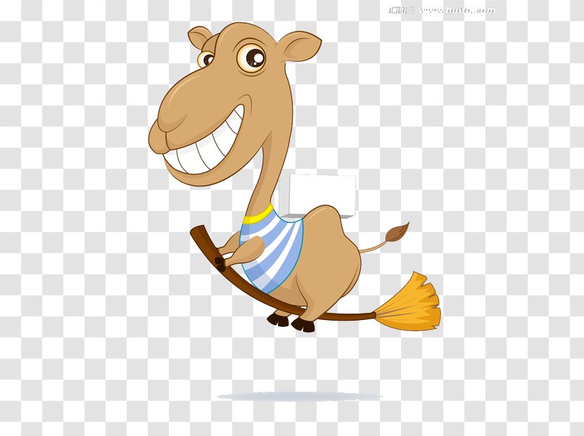 Camel Cartoon Illustration - Animation - Donkey Transparent PNG