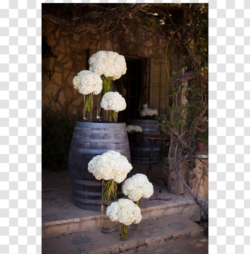 Wine Common Grape Vine Barrel Oak Hydrangea - Plant - Wedding Transparent PNG