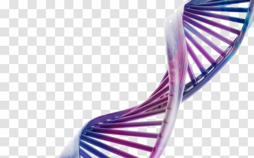 Desktop Wallpaper DNA Three-dimensional Space Science Molecular Biology - Purple Blue Model Transparent PNG