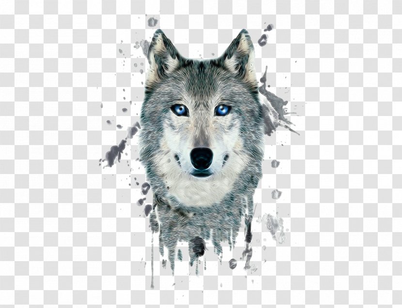 Arctic Wolf Poster Black Illustration - Mammal - Painted Transparent PNG