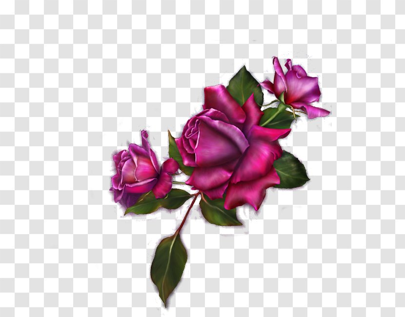 Pink Flower Cartoon - Floral Design - Hybrid Tea Rose Bouquet Transparent PNG