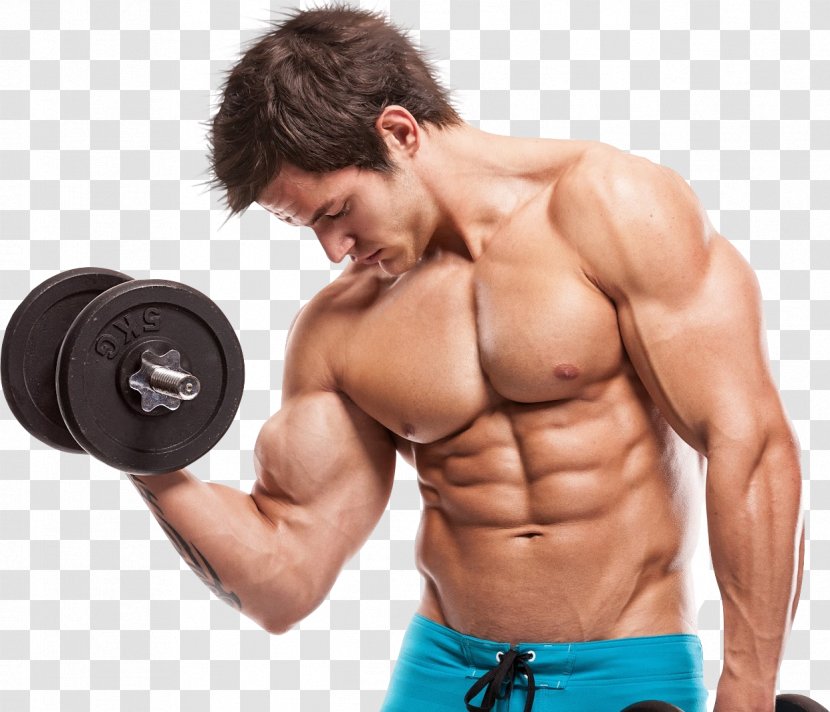 Exercise Strength Training Weight Dumbbell Biceps Curl - Frame Transparent PNG