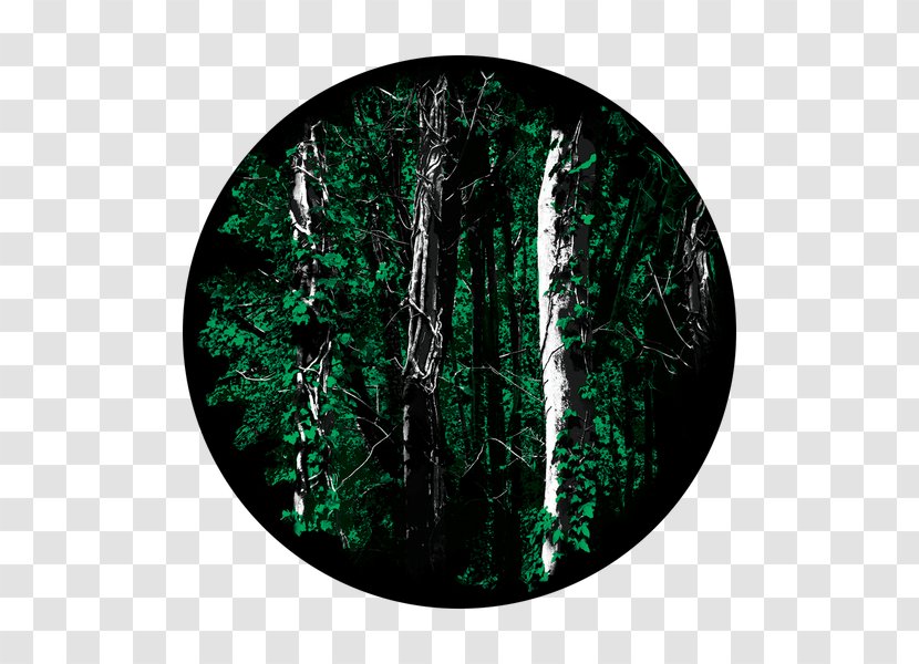 Gobo Forest Glass - Branch Transparent PNG