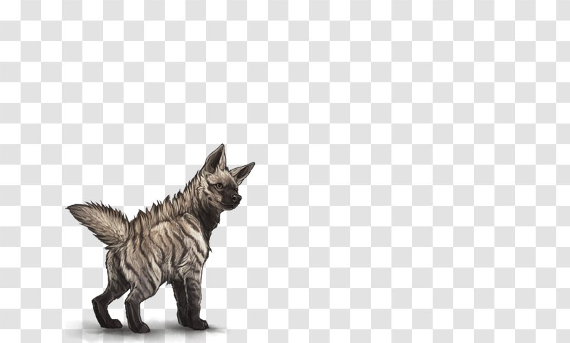 Maltese Dog Cat Felidae Striped Hyena Lion - Mammal Transparent PNG