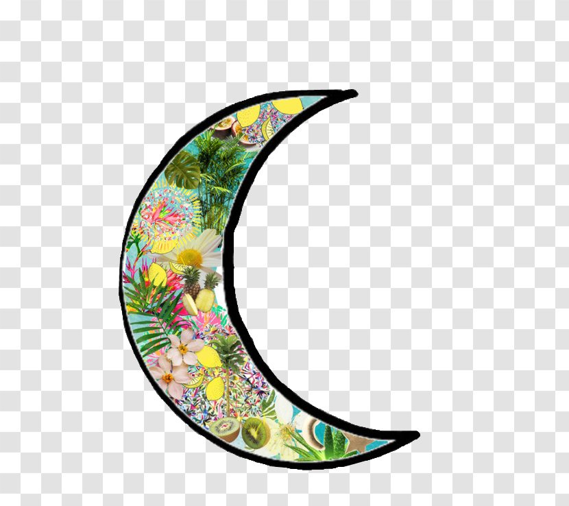 Moon Lunar Phase We Heart It - Keyword Tool - Stay Away From Drugs Transparent PNG