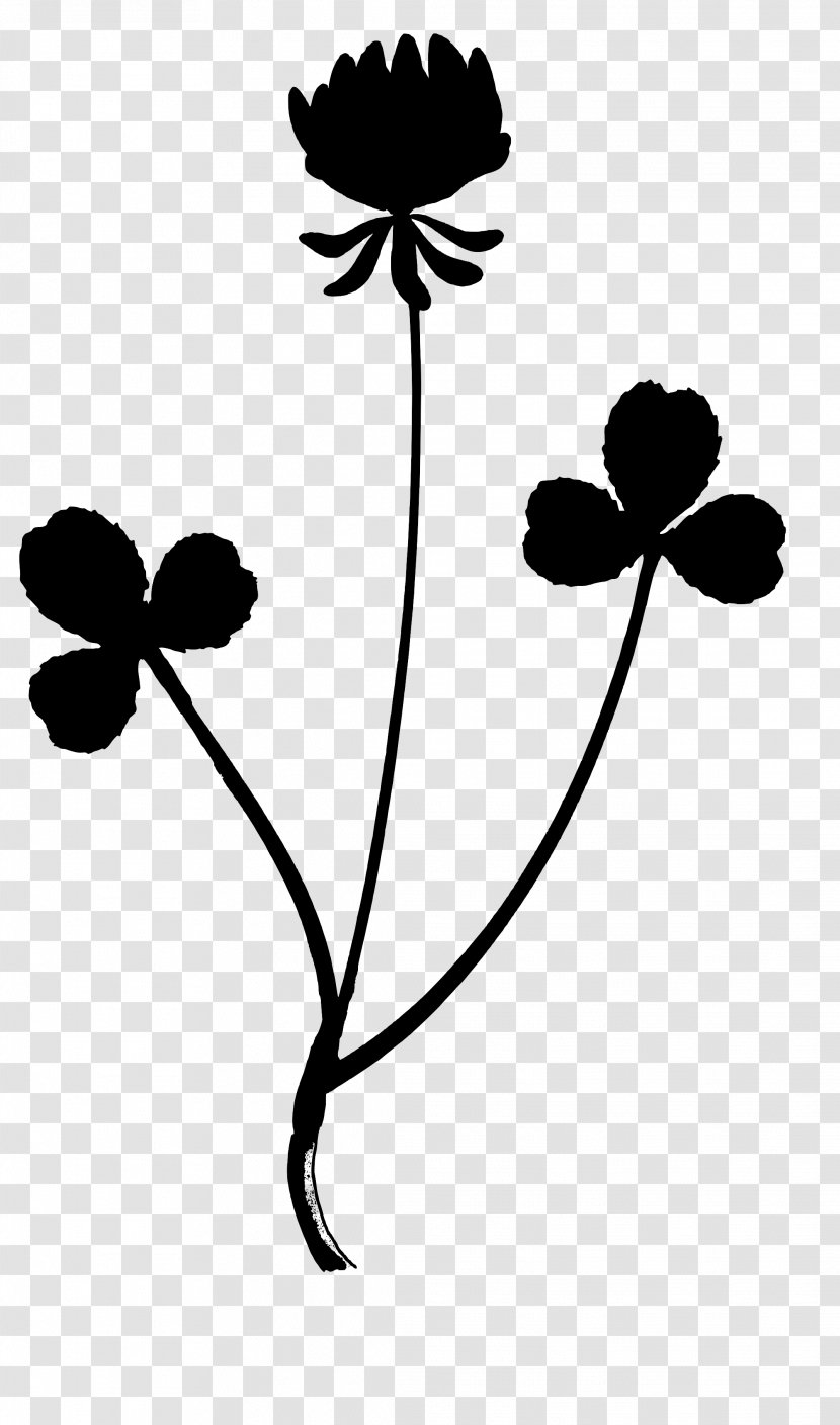 Clip Art Leaf Plant Stem Line Silhouette - Blackandwhite Transparent PNG