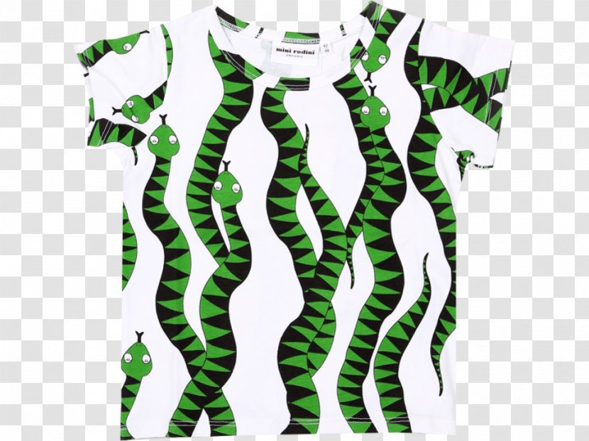 Zebra Green Line - Organism Transparent PNG