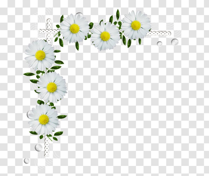 Desktop Wallpaper Clip Art - Daisy Family - Decoupage Transparent PNG