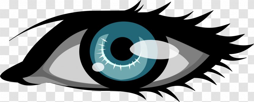 Eye Color Clip Art - Frame - Human Template Download Transparent PNG