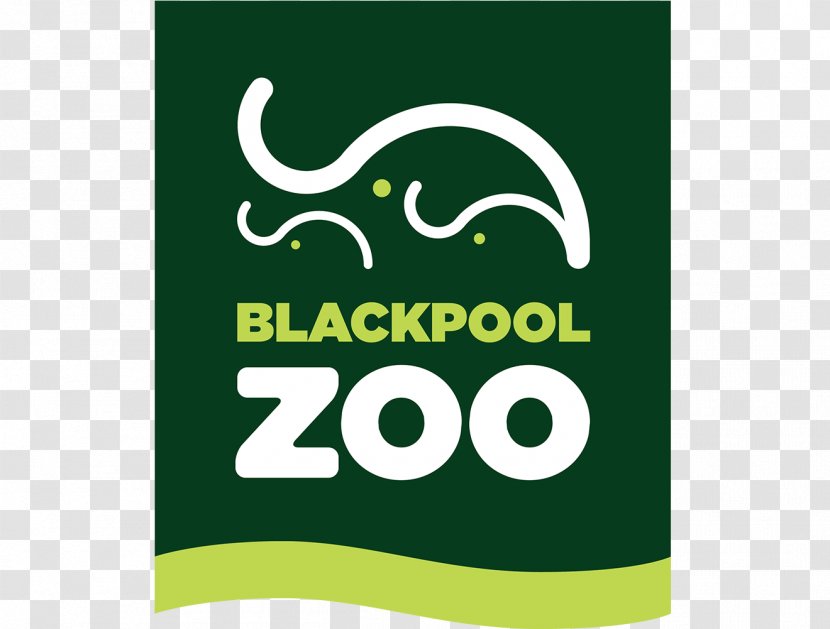 Blackpool Zoo Asian Elephant Tourist Attraction British And Irish Association Of Zoos Aquariums - Logo - Green Transparent PNG