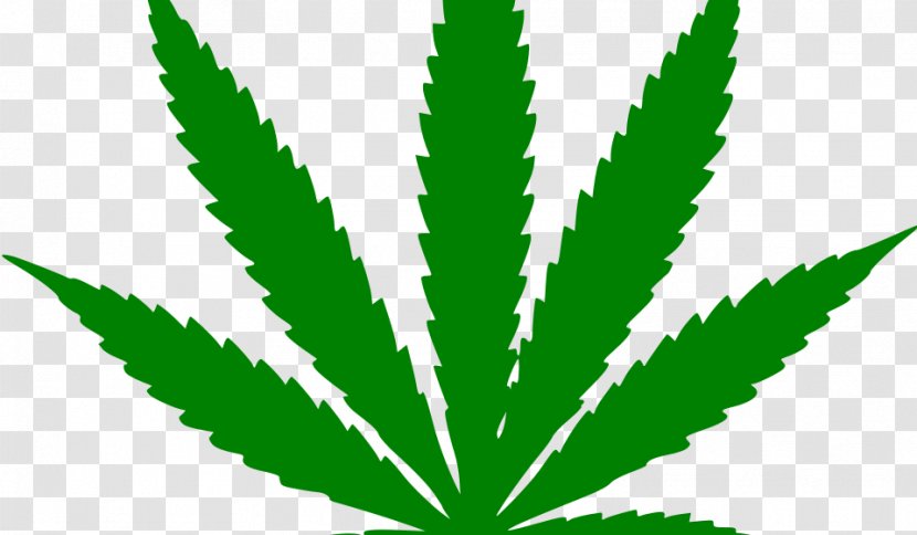 Hash, Marihuana & Hemp Museum Medical Cannabis 420 Day Smoking - Legality Of Transparent PNG