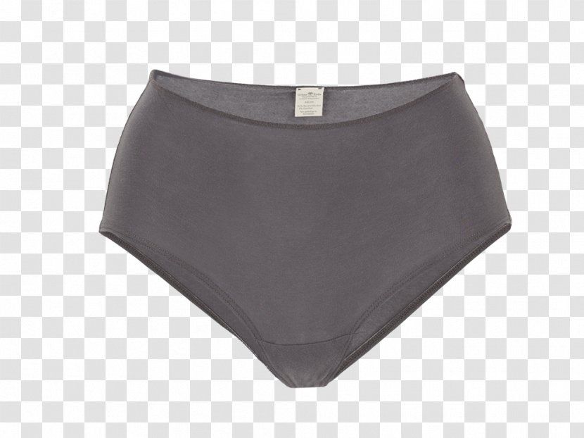 Swim Briefs Underpants Waist Swimsuit - Heart - Panties. Transparent PNG