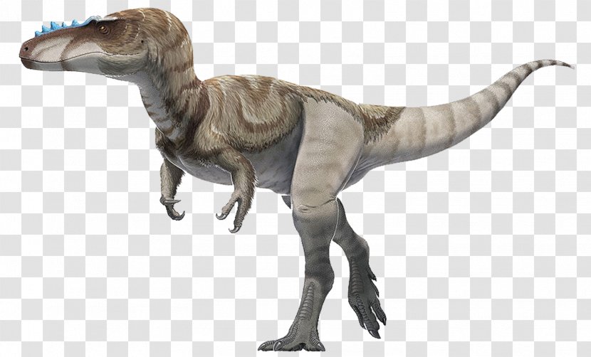 Alioramus Late Cretaceous Tarbosaurus Tyrannosaurus Bahariasaurus - Brachiosaurus - Dinosaur Transparent PNG