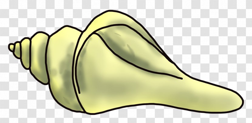 Cartoon Sea Snail Clip Art - Drawing - Conch Transparent PNG
