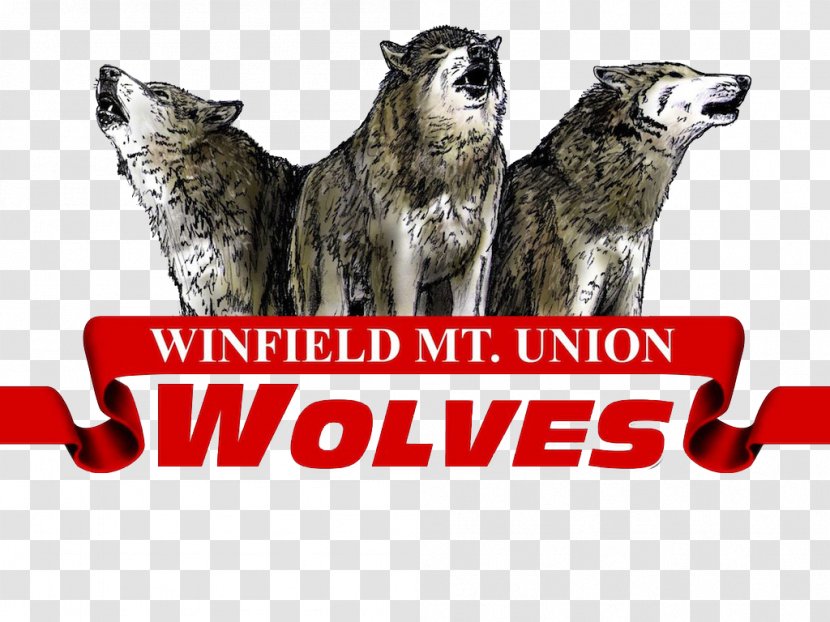 Winfield - School - Mt. Union Community Mount UnionSchool Transparent PNG