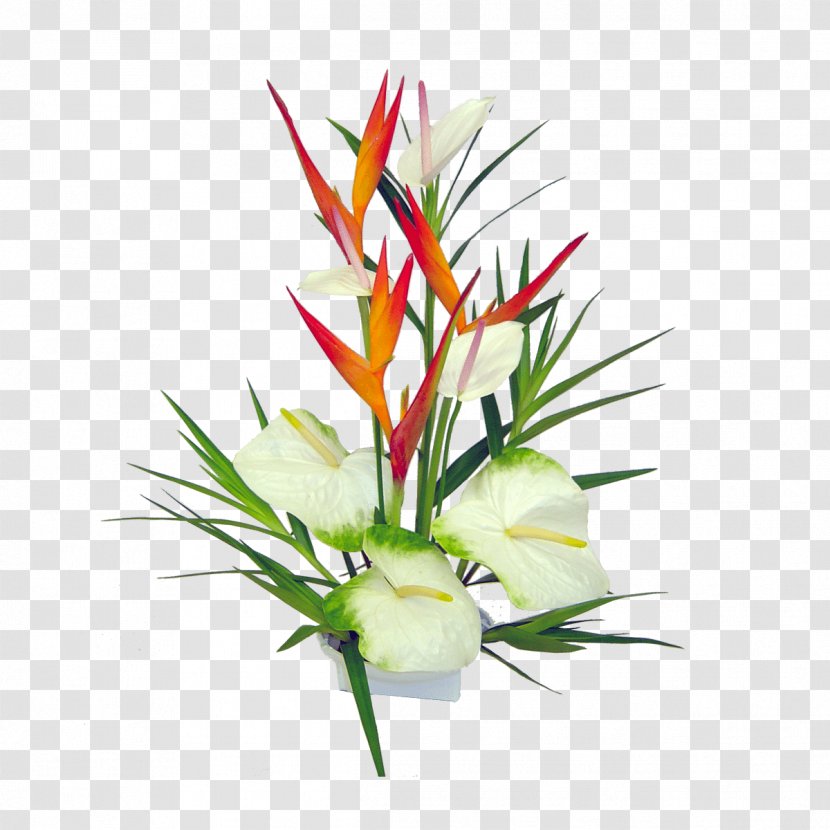 Hawaii Flower Bouquet Floristry Lei - Hawaiian Hibiscus - Tropical Transparent PNG