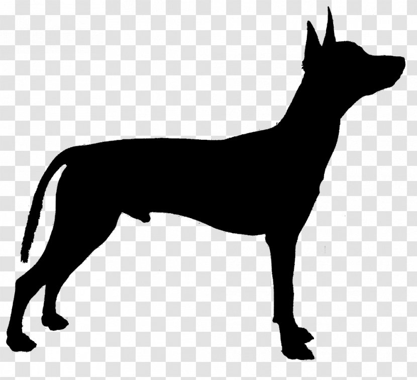 Great Dane Dobermann Siberian Husky Clip Art Pyrenees - Pet Transparent PNG