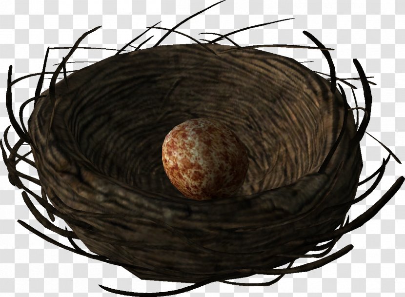 Bird Nest The Elder Scrolls V: Skyrim Cyrodiil Egg - Public Domain Transparent PNG