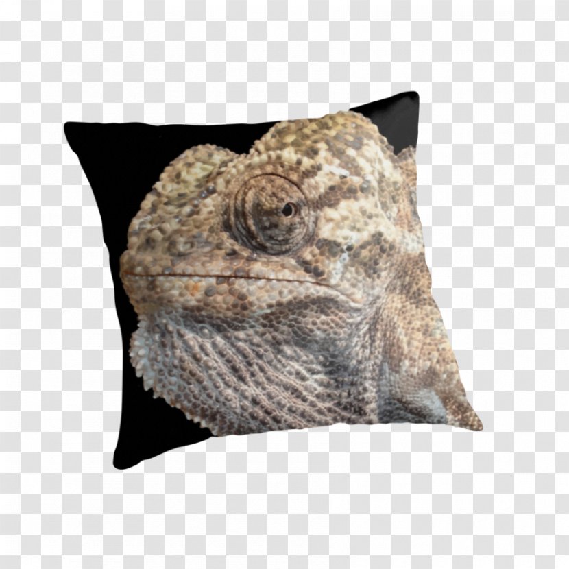Chameleons Throw Pillows Cushion Cool - Zipper Isolated Transparent PNG