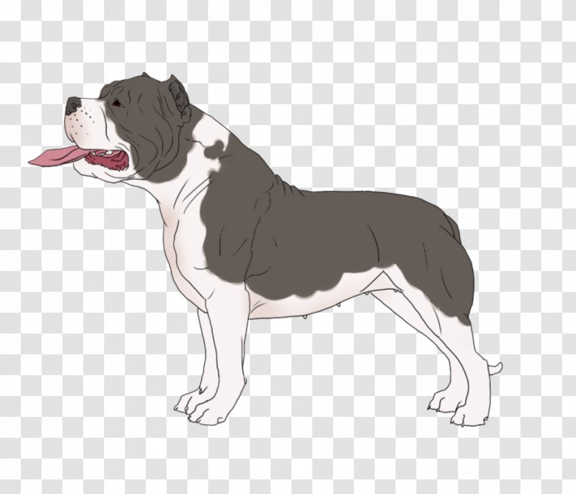 Boston Terrier Olde English Bulldogge Dog Breed Snout - Non Sporting Group Transparent PNG