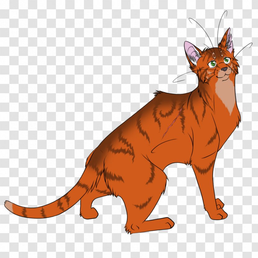 Cat Code Of The Clans Firestar Warriors Graystripe - Drawing Transparent PNG