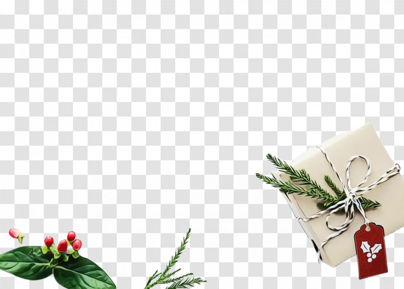 Holly - Plant - Cut Flowers Flowering Transparent PNG