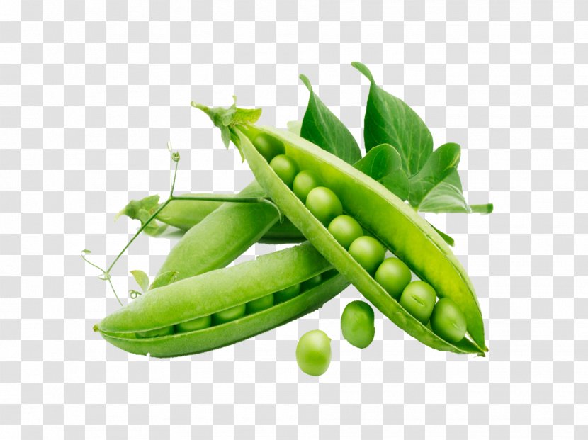Snow Pea Organic Food Vegetable Plant Fruit - Superfood - Peel Peas Transparent PNG
