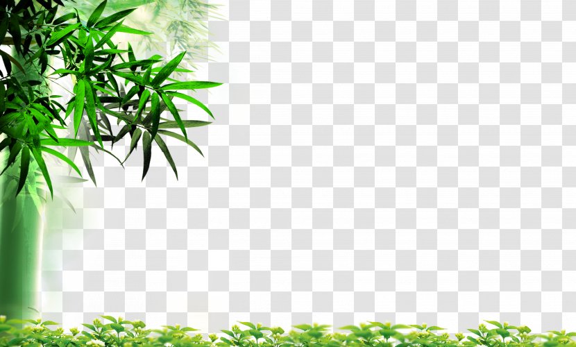 Leaf Bamboo High-definition Television Wallpaper - Grass - HD Leaves 1 Transparent PNG